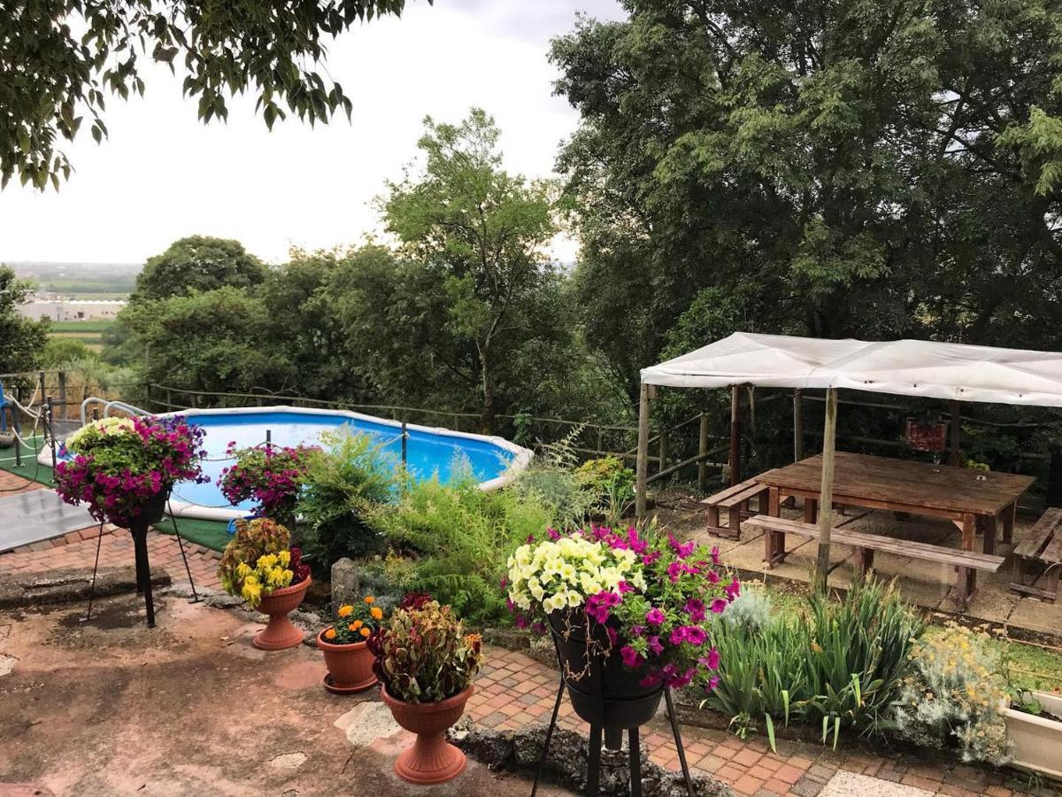Brojo Hill Bed & Breakfast Longare Dış mekan fotoğraf